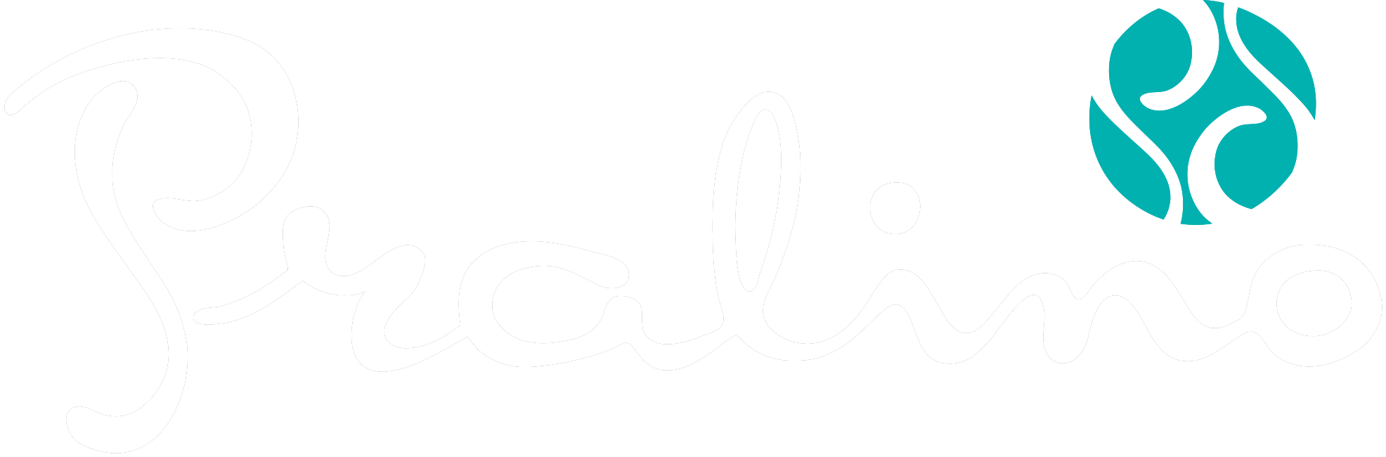 Pralino, premium lebanese chocolate