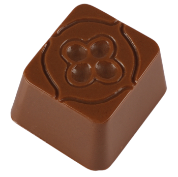 Mold 11