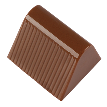 Mold 12
