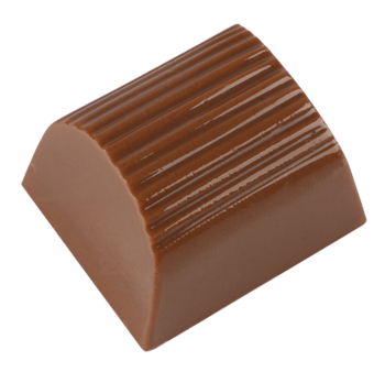 Mold 25